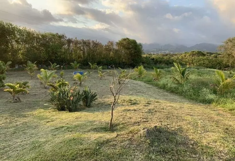 پانسیون Gîte Le Longane