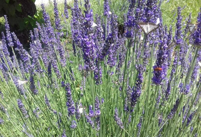 بنسيون Gîtes Du Combeau