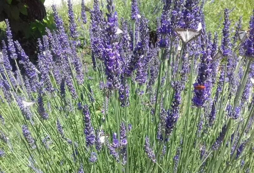 Majatalo Gîtes Du Combeau