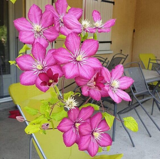 بنسيون Gîtes Du Combeau