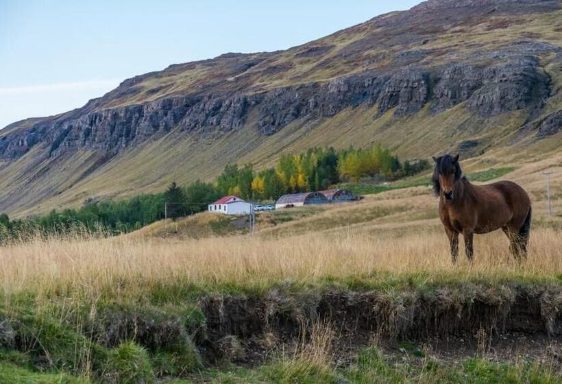 ペンション Ravencliff Lodge