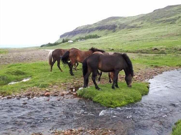 ペンション Ravencliff Lodge