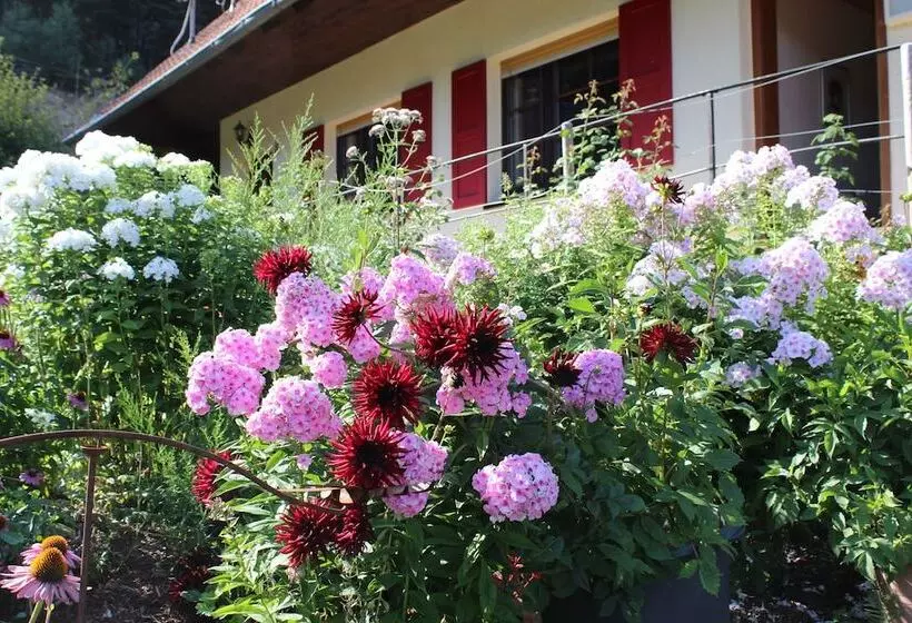 ペンション The Moosbach Garden