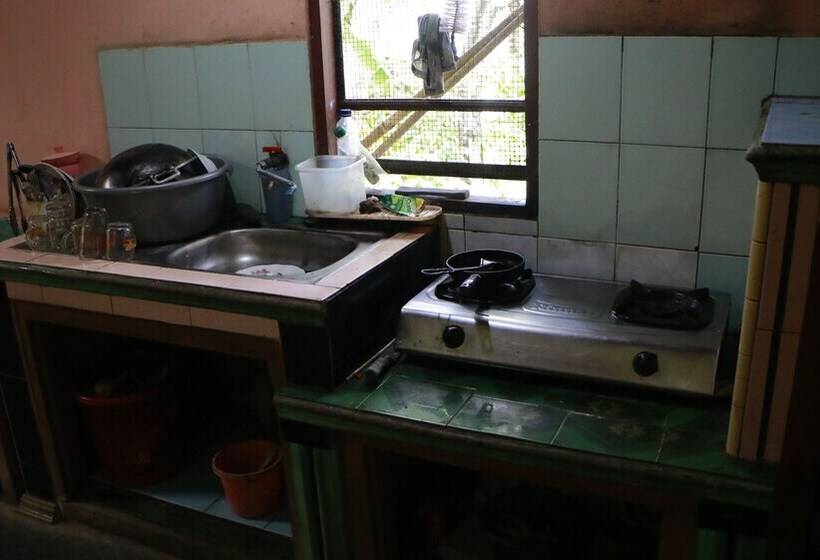 Sarjuni Homestay   Hostel