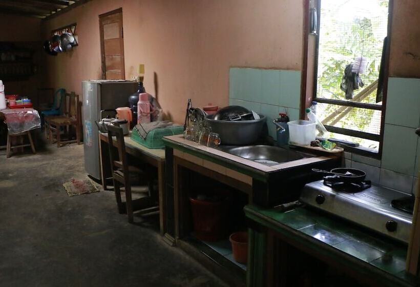 Sarjuni Homestay   Hostel