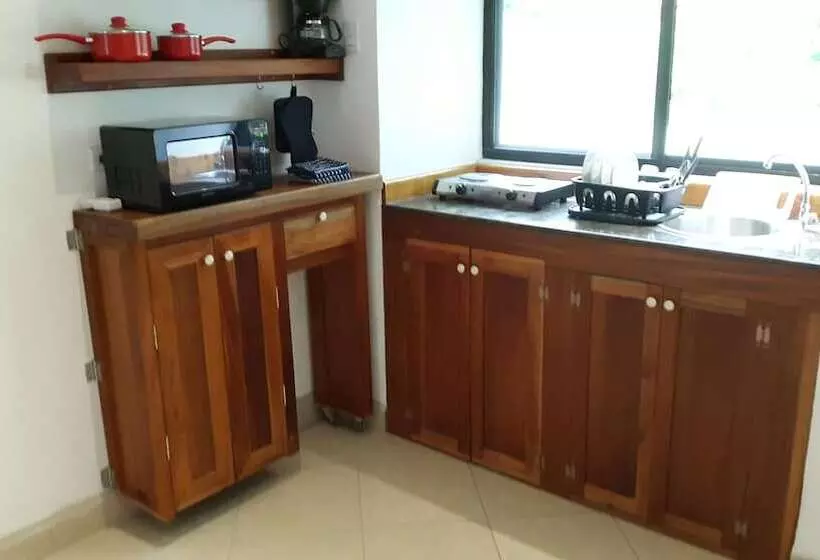 Apartamentos Vista
