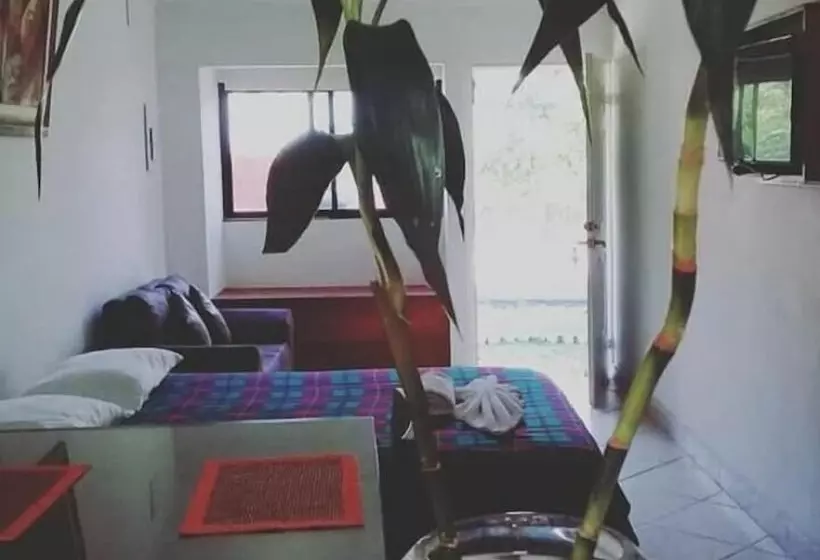 Apartamentos Vista