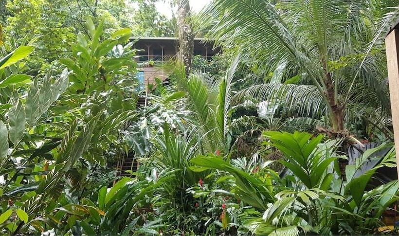 تختخواب و صبحانه Carmen S Place