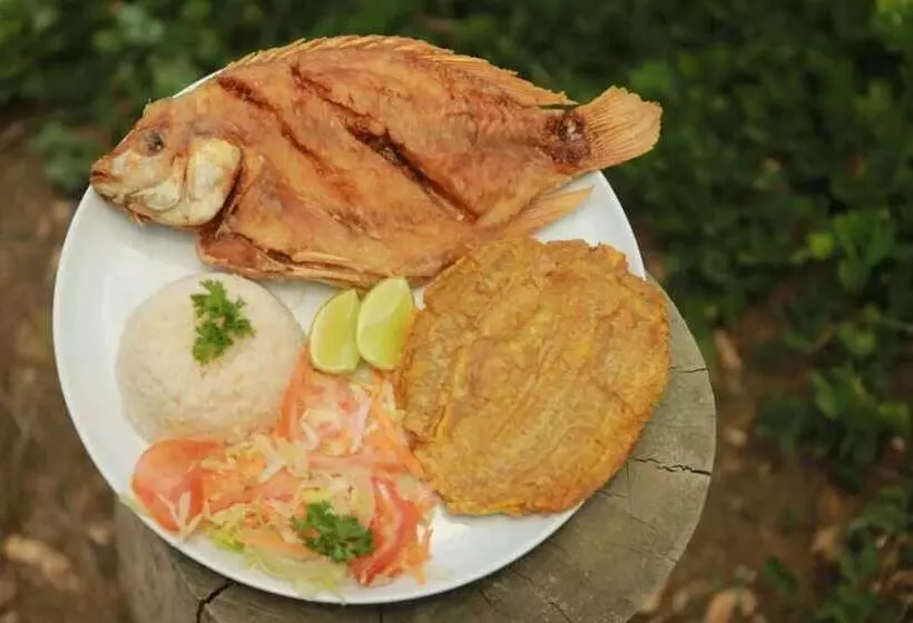 Ecohotel Campo Alegre