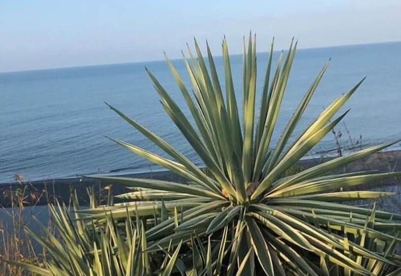 فندق فئة نجمة واحدة Hostería Pacific Stone