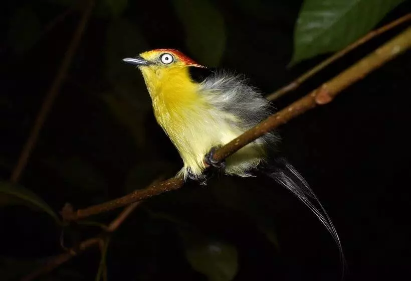 هتل Amazon Lodge Adventures