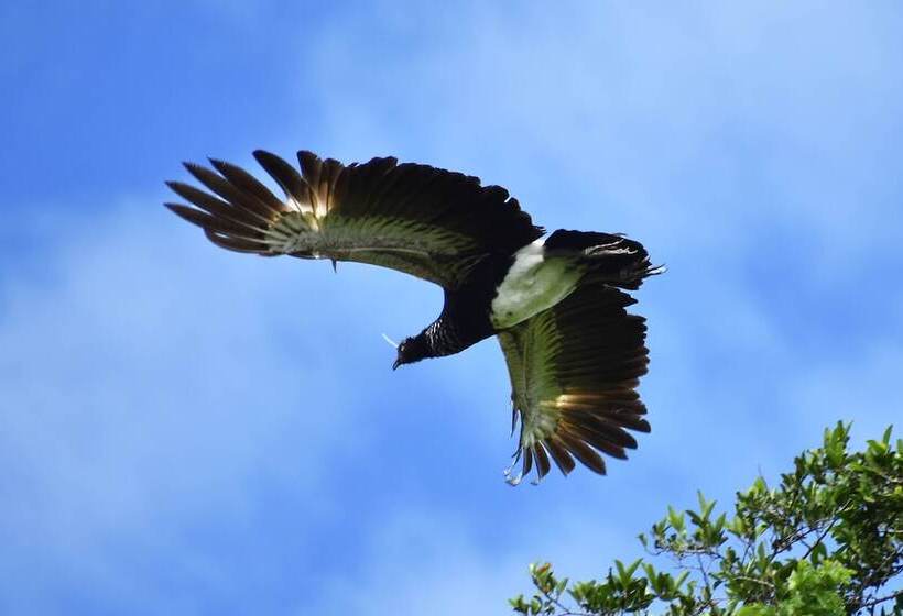 هتل Amazon Lodge Adventures