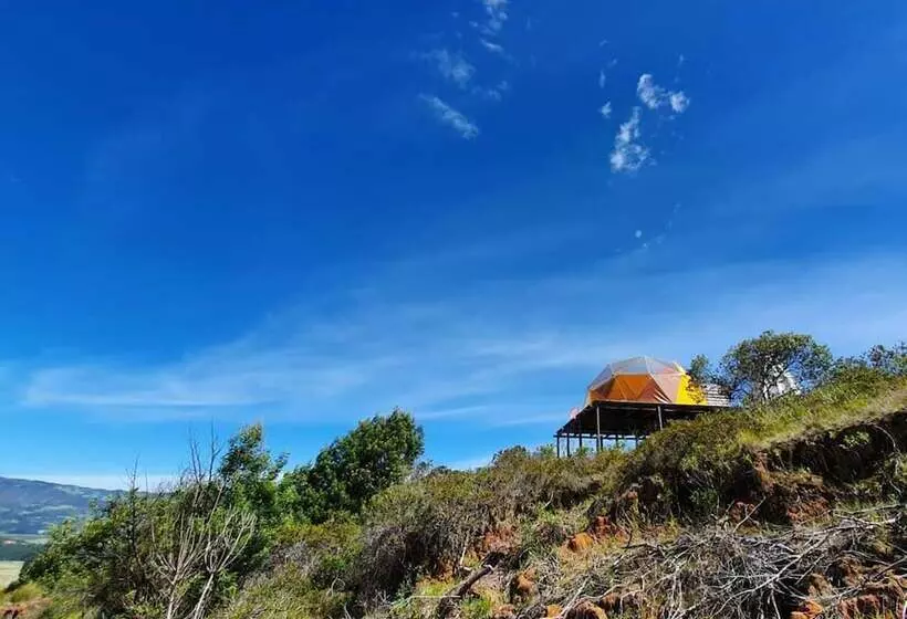 ホテル Bajo El Cielo Glamping