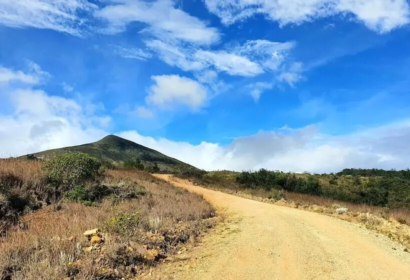 ホテル Bajo El Cielo Glamping