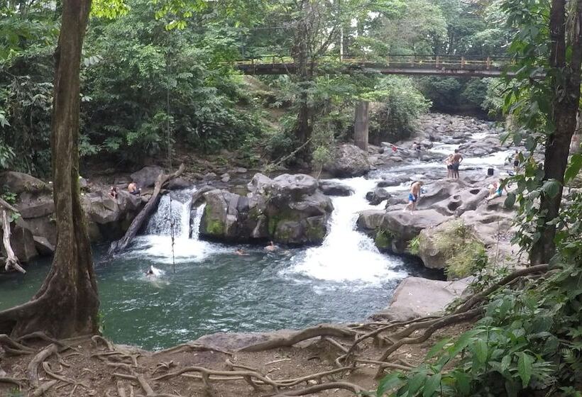 酒店 La Fortuna Lodge