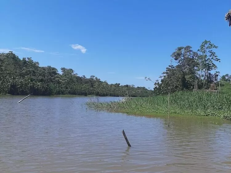 هتل Lupuna Jungle Tours And Expeditions