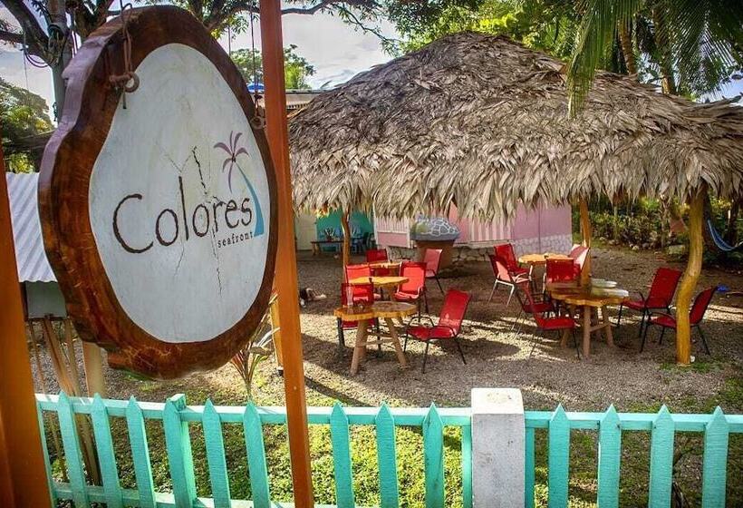 ペンション Colores Hostel