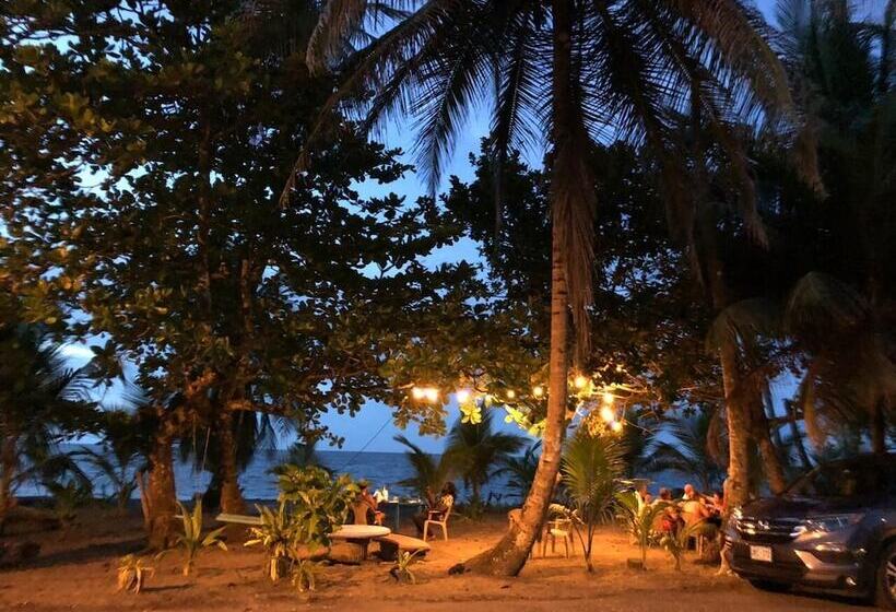 ペンション Colores Hostel