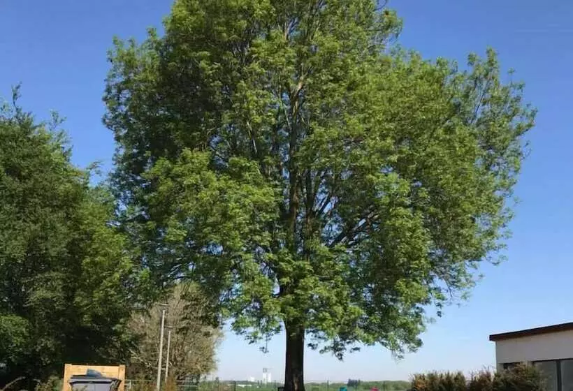 Majatalo Gîtes Du Frêne