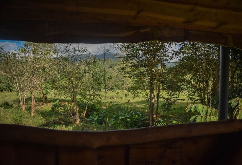 Пансион La Dulcinea B&b