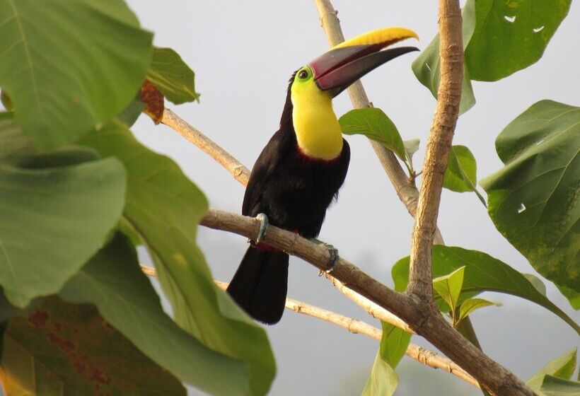 Пансион La Dulcinea B&b