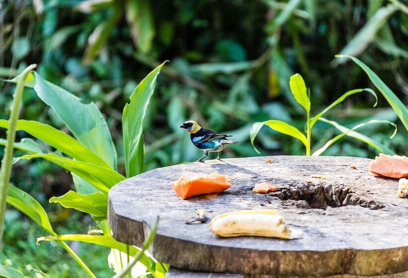 Пансион La Dulcinea B&b