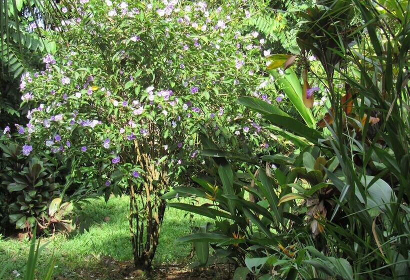 Пансион La Dulcinea B&b