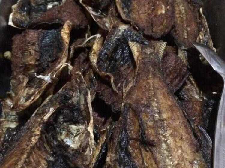 ペンション Oasis Resthouse