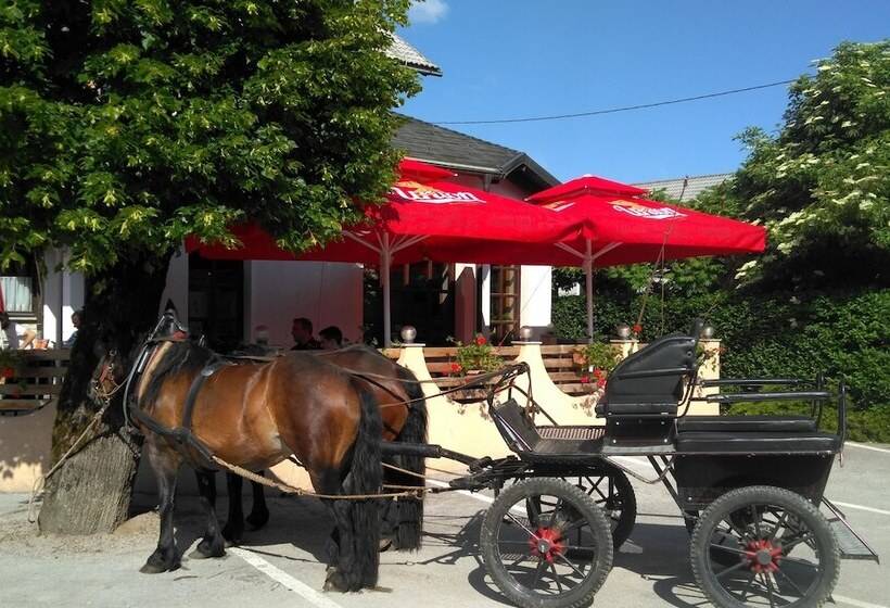 پانسیون Prenočišča Miklavčič