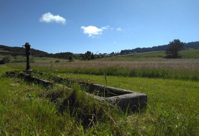 پانسیون Prenočišča Miklavčič