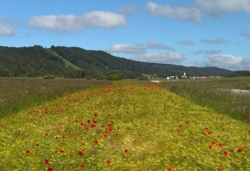 پانسیون Prenočišča Miklavčič