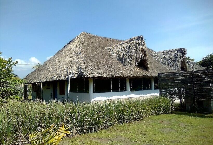 پانسیون Soul Food Kitchen And Guesthouse