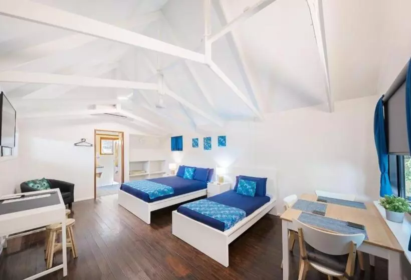 הוסטל Airlie Beach Magnums Adults Only