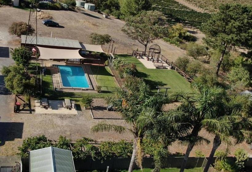 Angaston Vineyards Motel