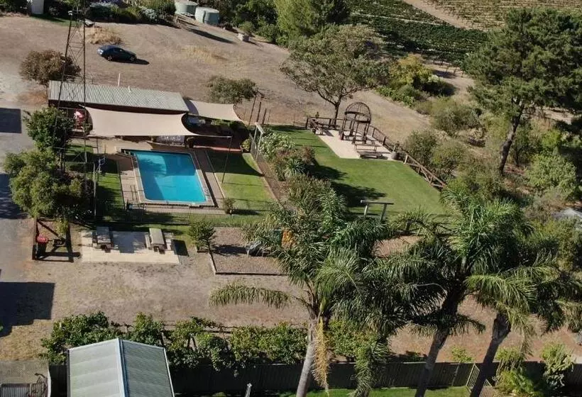 Angaston Vineyards Motel
