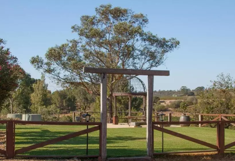 Angaston Vineyards Motel