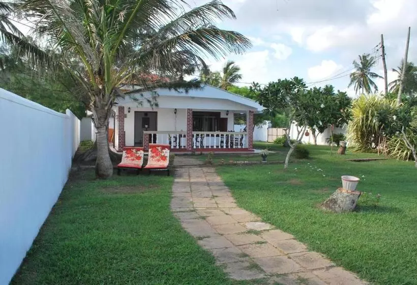Beach House