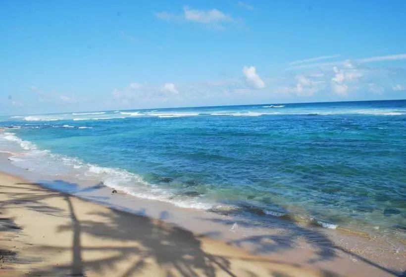 Beach House