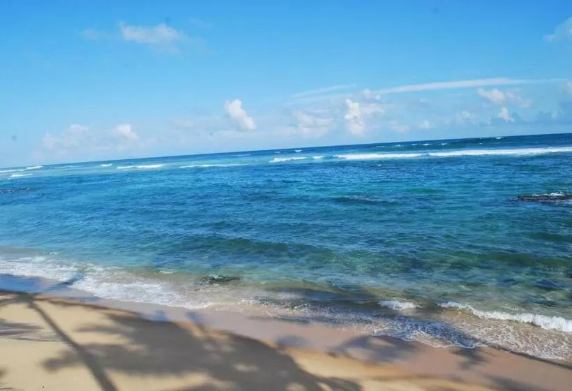 Beach House