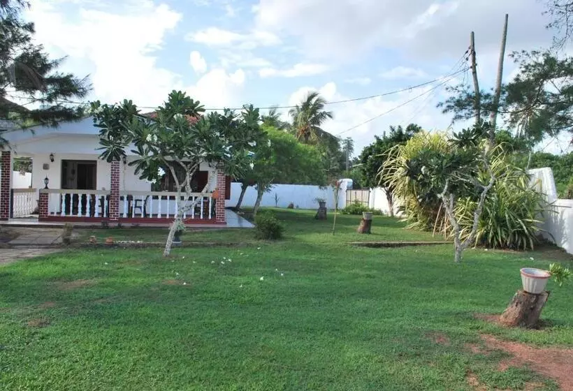 Beach House