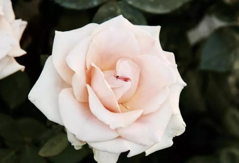 Bed and Breakfast Le Manoir De Marie Lou