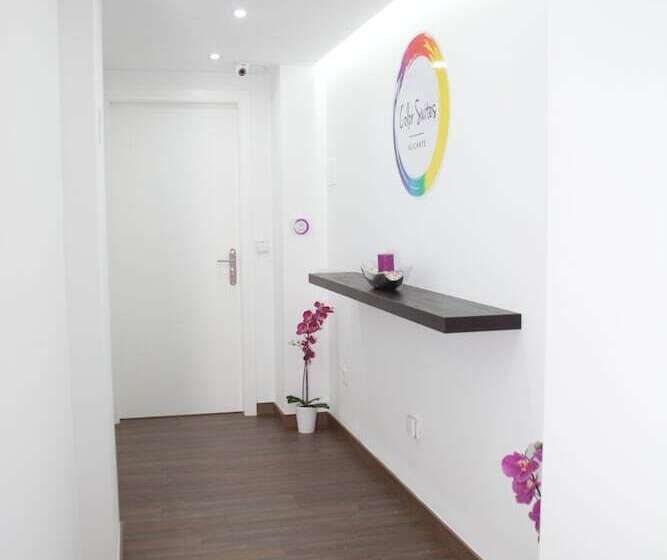 Color Suites Alicante
