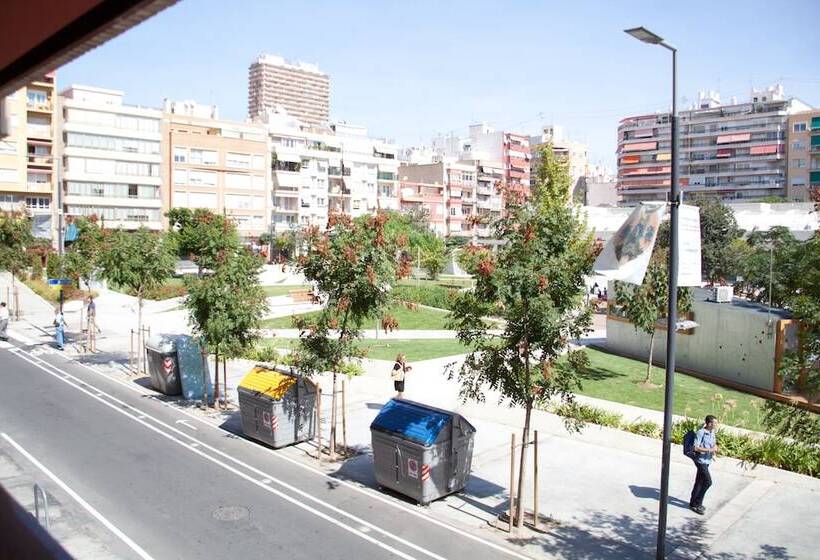 Color Suites Alicante