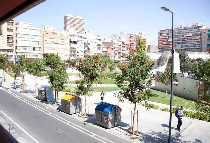 Color Suites Alicante