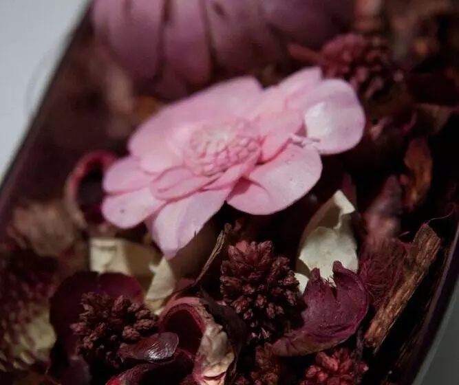 Color Suites Alicante