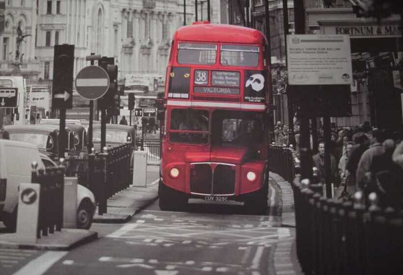 Color Suites Alicante