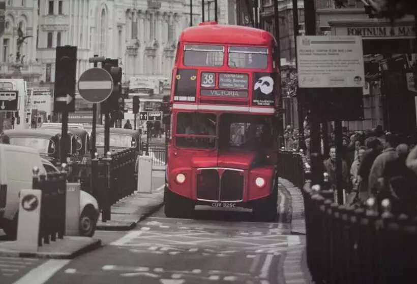 Color Suites Alicante