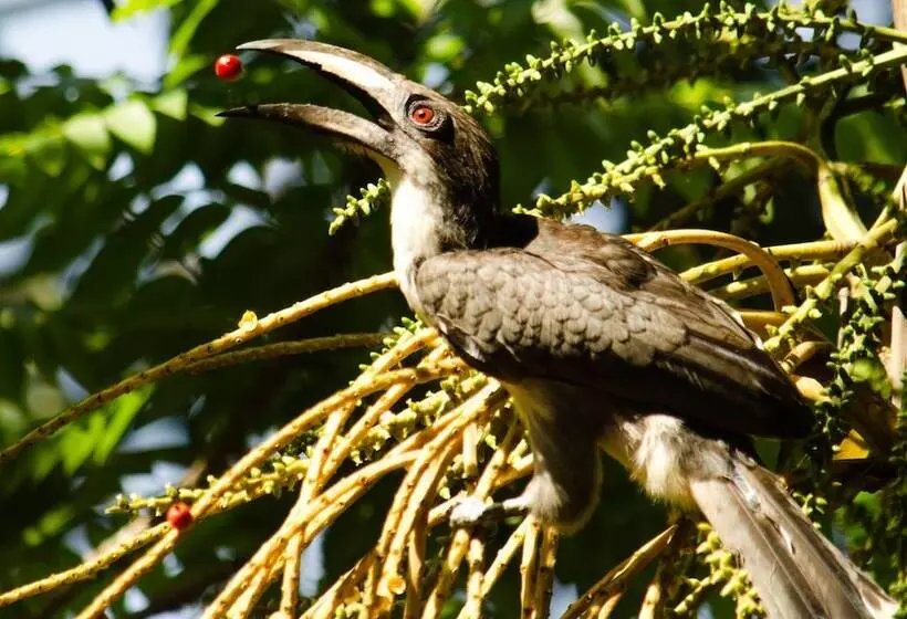 호텔 Big Game Wilpattu By Eco Team