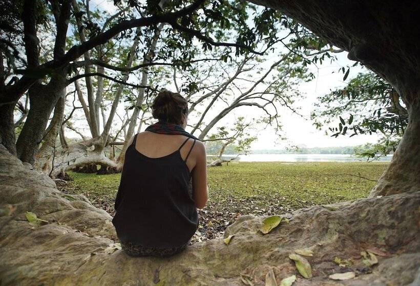 ホテル Big Game Wilpattu By Eco Team