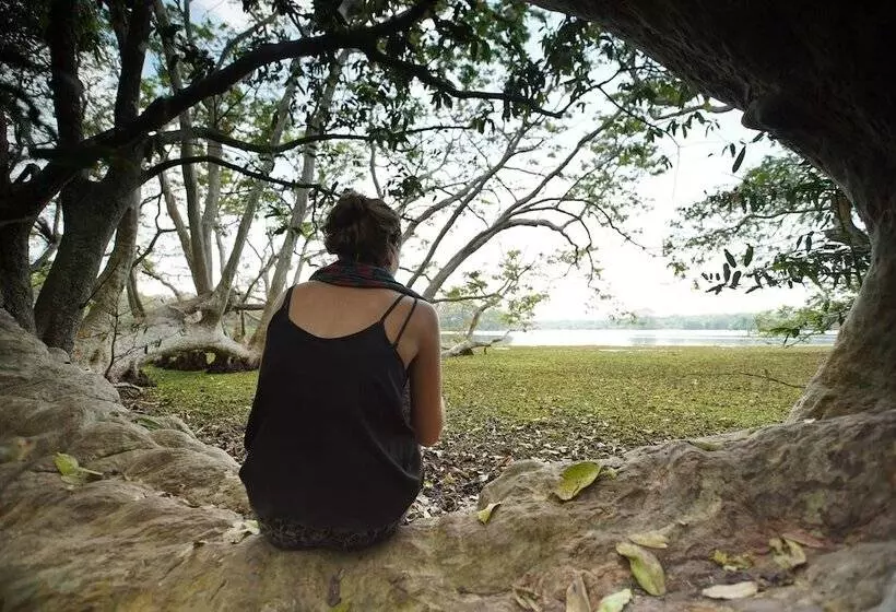 호텔 Big Game Wilpattu By Eco Team